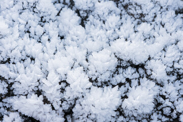 the black earth is covered with frost like large crystal crystals