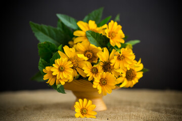 bouquet of beautiful yellow daisies on black background