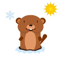 Marmot predicts the weather, vector art illustration.