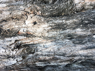 Closeup Old Wooden Pattern Texture
