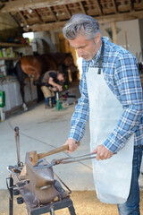 horse farrier working in the early morning