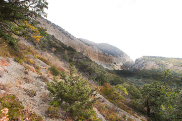 mountains vegetation fog cloud cover black sea Anapa 2014