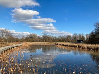 lake in the nature preserve 