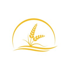 Wheat logo template and grain spikes icons design