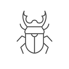 Stag beetle line outline icon