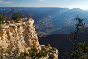 Morning light in the Grand Canyon South Rim
