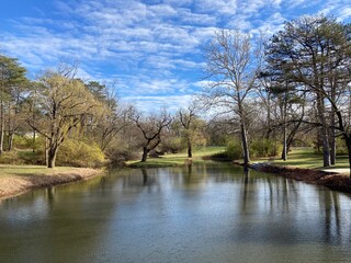 landscape with lake and trees
