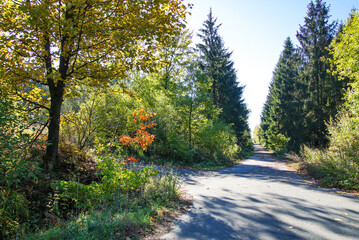 Velmerstot Wanderweg