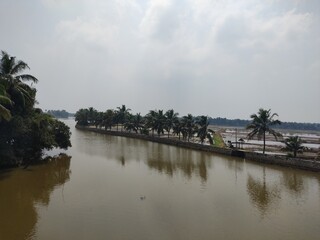 the river in the paddy field