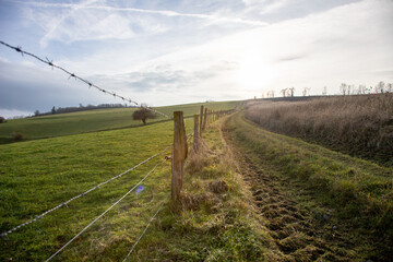 Fototapeta premium Hiking trail along fields and pastures, barbed wire fence separating a pasture.