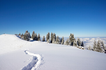 Fototapeta na wymiar Beautiful mountain winter landscape. Snowy landscape in the mountains of Kazakhstan.