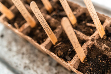 Planting seeds