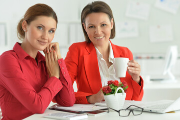 Portrait of young businesswomen working in modern office