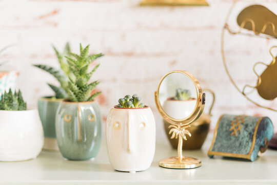 Lithops in face plant pot and tropical hand mirror in gold next to more succulents and vintage decorative objects against white and red brick wallpaper as background.