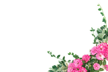 Floral frame made of pink roses and leaves on white background. Flat lay