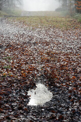 Puddle of water with rain droplets on forest path of fallen brown leaves in mist