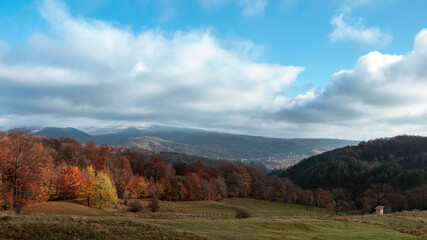 Amazing fall  landscape with colored trees and frost in the morning 