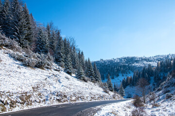 Winter road passing through the hills and forest © Mihai