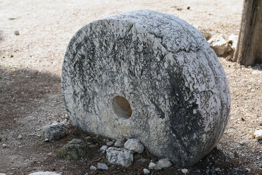Old stone mill wheel in forest
