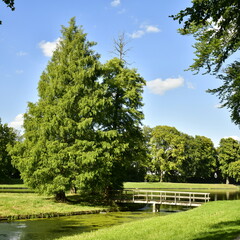 Fototapeta na wymiar Petit pont en bois accédant à la plus grande ile du parc de Tervuren à l'est de Bruxelles