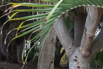 paisaje