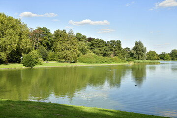 Fototapeta premium La nature verdoyante autour du Grand Etang au parc de Tervuren à l'est de Bruxelles 