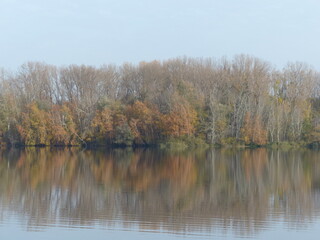 autumn trees reflected in water