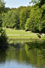 Pelouse entouré d'un bois dense le long de l'Etang du Château au parc de Tervuren à l'est de Bruxelles