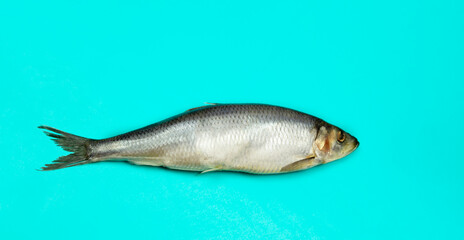 Salted herring on a mint-colored background.Empty space for insertion.