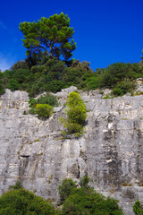 Golden Cape Forest Park, Rovinj (Rovigno) - Istria, Croatia