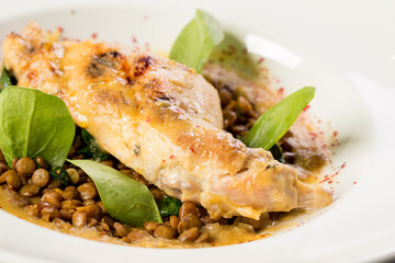 Stewed rabbit leg with lentils on a large round plate
