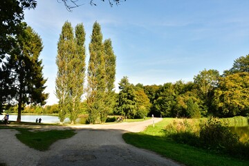 Peupliers près d'un croisement de chemins au parc de Tervuren à l'est de Bruxelles