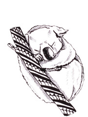 watercolor drawing of a black and white Koala on a white background for a white shirt