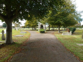 Alley in the cemetery