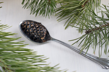 Siberian healthy vegan dessert of dried pine cone canned in sweet syrup served on silver spoon on white wooden background with pine branches at winter holidays at kitchen. Horizontal image