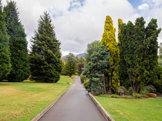 Impressive gardens at Tasmanian botanic gardens, Tasmania, Australia