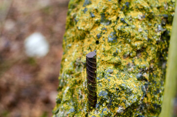 Rusty reinforcement in concrete wall