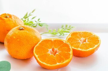 温州みかんカット