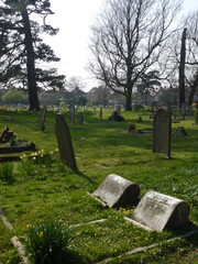 Big green cemetery