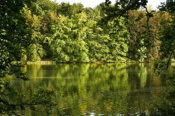 Fototapeta na wymiar Reflet magique de la nature luxuriante en début d'automne autour d'un des étang du parc de Tervuren à l'est de Bruxelles