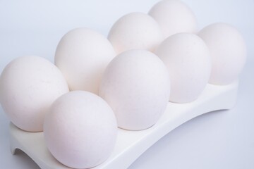 Egg raw natural healthy fresh. White nature.