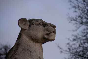 stone head of a lioness against the blue sky in the park