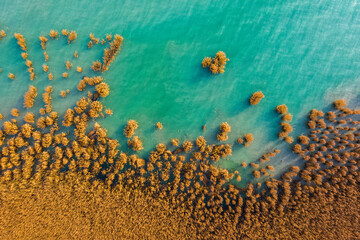 Fototapeta na wymiar Alsoors Hungary - Aerial view of beautiful reeds formation with crystal clear turquoise water at lake Balaton. Autumn mood, Alsóörs.
