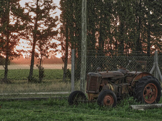Fototapeta na wymiar tractor antiguo en el campo
