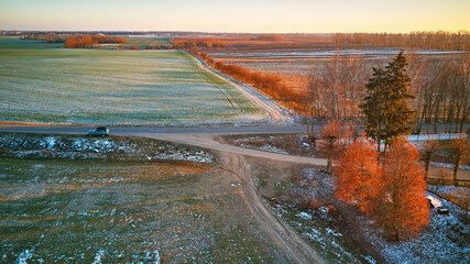 Winter green Agricultural field winter crops under snow. Colorful trees December sunset Aerial scene