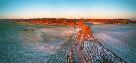 Winter green Agricultural field winter crops under snow panorama. Colorful trees December sunset