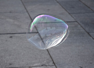 Soap bubble flying in a sunny day