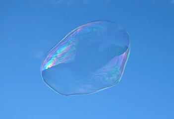 Soap bubble flying in a sunny day