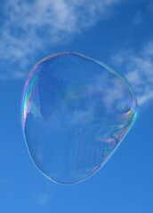 Soap bubble flying in a sunny day