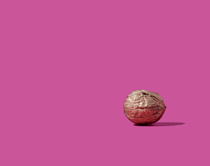 Gold walnut on bright pink background